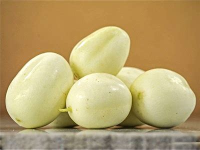cetrioli antichi | Cercatori Di Semi 2/2