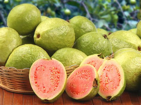 fruits  start    citrus  tropical fruits