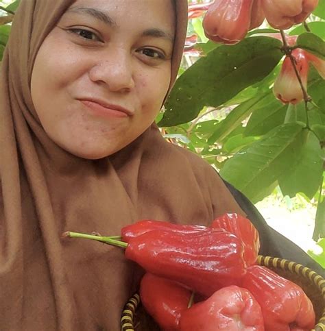 najma sandrina