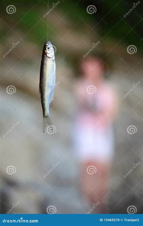 Bleak fish stock photo. Image of leisure, person, girl - 15469270