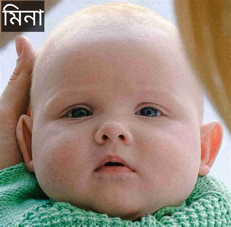 mina namer orth ki mina  meaning  bengali