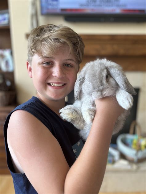 Holland Lop Bunnies for Sale | Oregon, WI | Honey Bunny's Bunnies