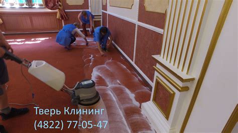 Чистка ковров, мягкой мебели в Твери +7(4822)77-05-47
