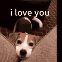 And They Call It Puppy Love Gif - Puppy And Pets