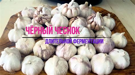 Черный чеснок (Black Garlic) / Чёрный чеснок как приготовить в домашних ...