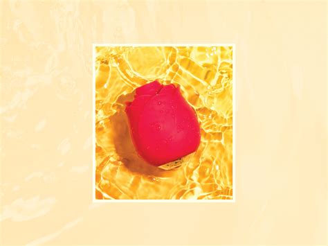 Shop Lovehoney's Sex Toy Valentine's Day Deals