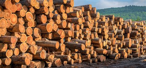Hardwood Lumber from Baillie - Baillie Lumber - Hardwood Supplier