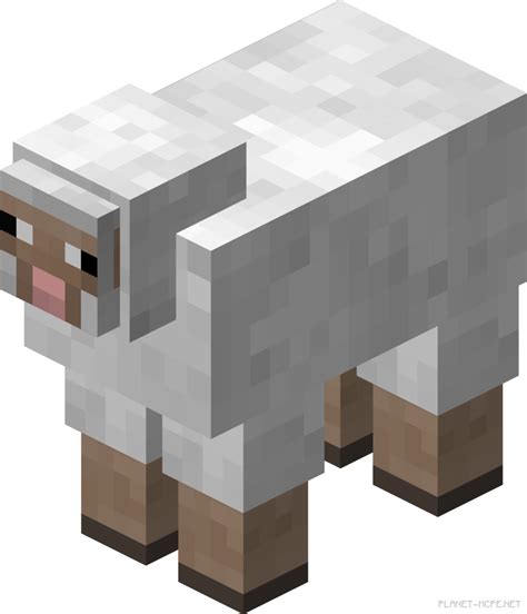 Овца (Мобы) — Гайды по Minecraft PE