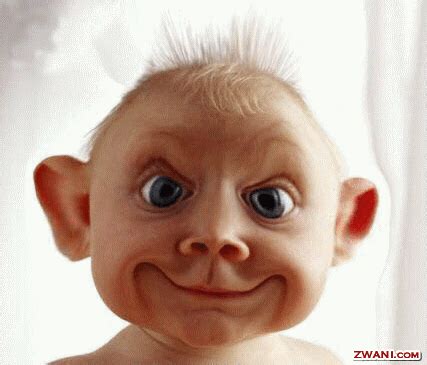 funny picture comments  graphics codes  myspace friendster