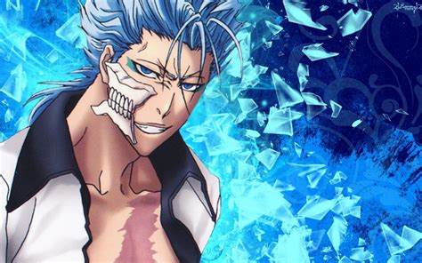 Grimmjow Wallpaper HD - WallpaperSafari
