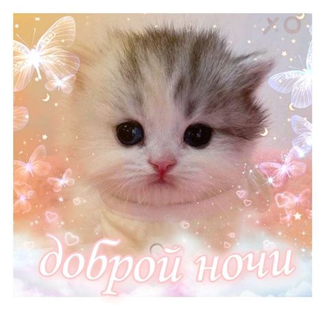 Доброй ночи | Ночь, Спокойной ночи, Мемы