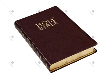 holy bible