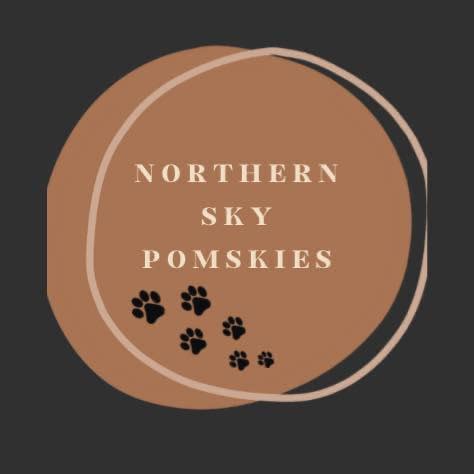 Northern Sky Pomskies | Melville SK