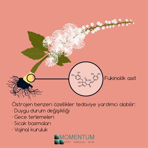 Black cohosh – Momentum Sağlık