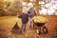 Little Girl Raking Leaves In Fall 2 Free Stock Photo - Public Domain ...