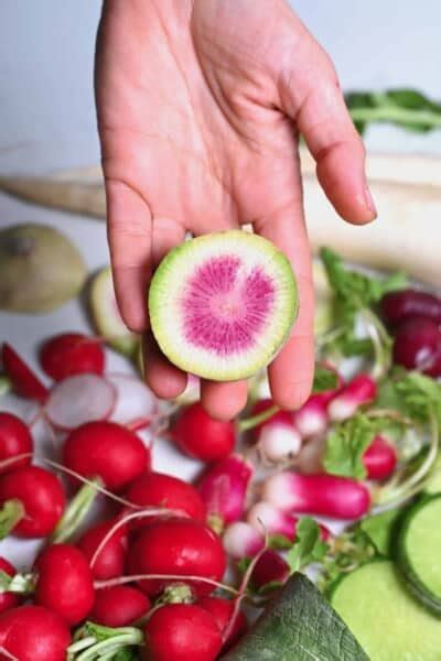 popular types  radishes alphafoodie