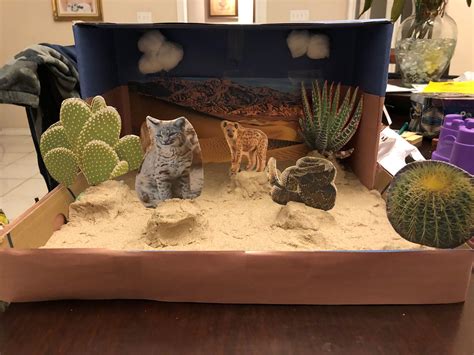 diorama biomes 5