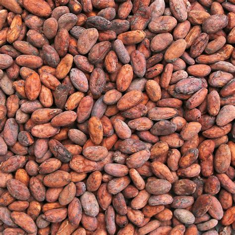 Download A Close-up Capture of Raw Cacao Beans Wallpaper | Wallpapers.com