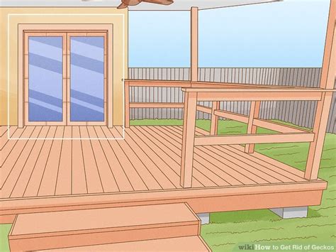 how to get rid of geckos