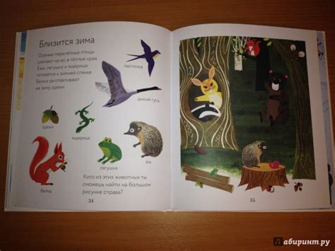 Книга: Времена года - Ален Грэ. Купить книгу, читать рецензии | Лабиринт