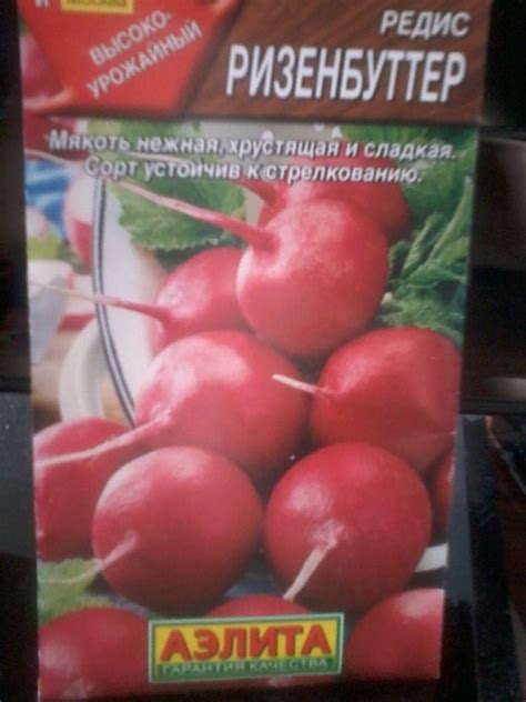 Семена Редиса Аэлита "Ризенбуттер" - «Средний сорт» | отзывы