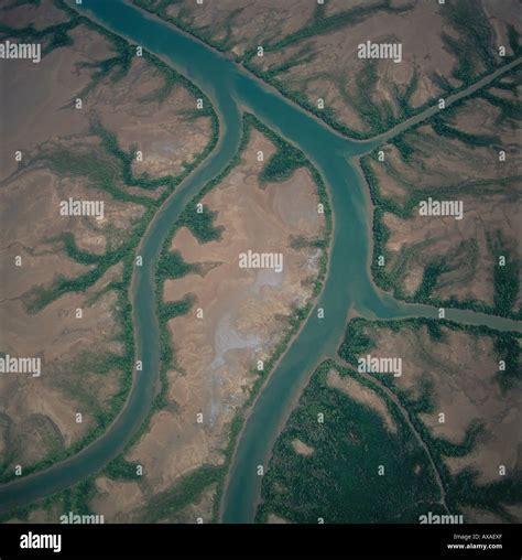 aerial view   ord river delta    river  branches