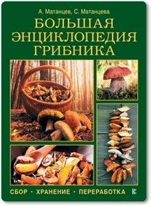 Большая энциклопедия грибника - Матанцев А. 🦅 скачать / купить