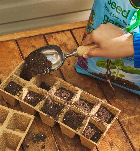 Stainless-Steel Mini Scoop - Lee Valley Tools