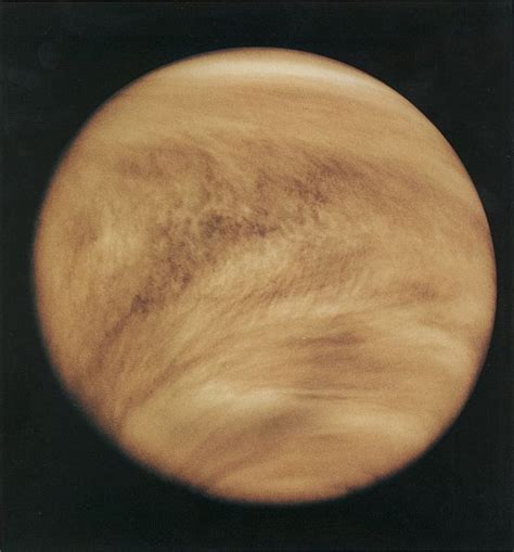 Venera – Wikipedija