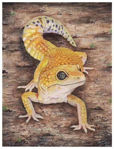 Leopard Gecko Fine Art Print Reptile Lizard Animal | Etsy