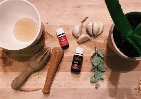 holistic remedies for fever 5