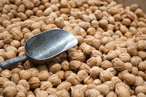 buy walnuts glendas farmhouse