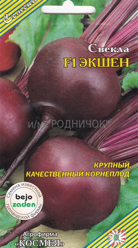 Свекла Экшен F1