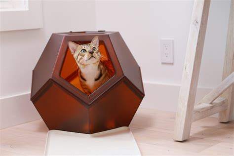 introducing  pet object  litter box   functional modern