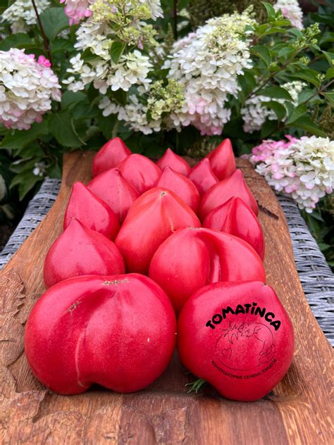 Шурики – Tomatinсa.ru