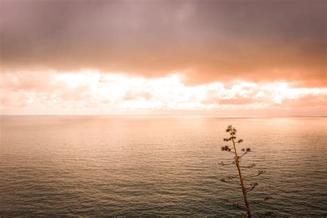 Cinque Terre Photography Tour (5-Day) Italy 2024 – Blue Tongue Photography Tours