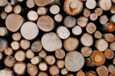 trees lumber timber  photo  pixabay