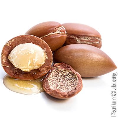 Арган в парфюмерии: нота аргана (argan) в духах и ароматах