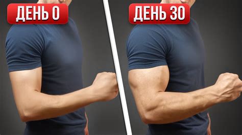 ТОП 5 Упражнений, чтобы Сделать Руки Больше (ДОМА БЕЗ ЖЕЛЕЗА) - YouTube