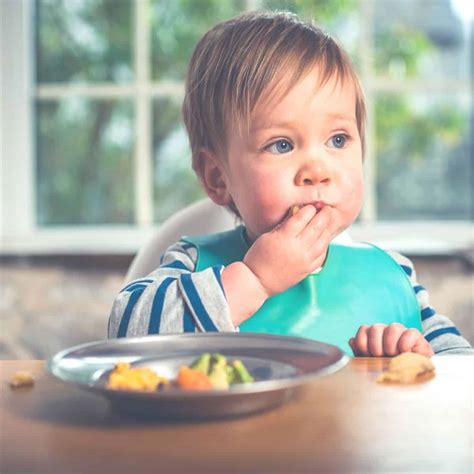 What to Do When Baby Won't Eat Solids: 7 Simple Steps - Your Kid's Table