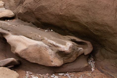 General Site Location — Prehistoric Island Tours