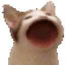 popcat cat meme sticker popcat pop cat discover share gifs