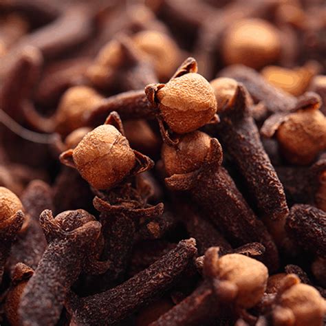 cloves  farsi  george bousquet blog