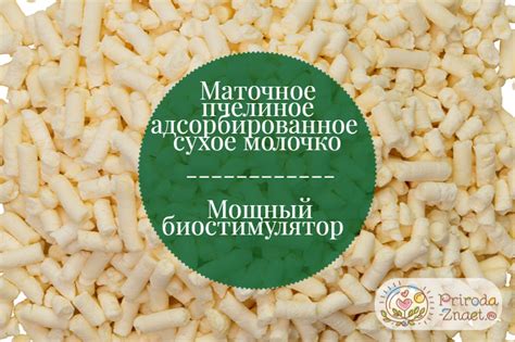Маточное пчелиное адсорбированное сухое молочко: особенности применения