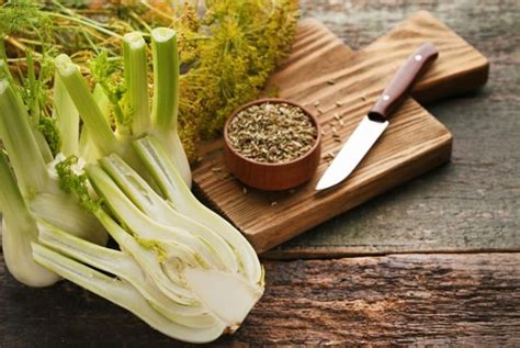 10 Things You Need To Know About Galactorrhea - Health & Detox & Vitamins