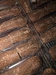 Amazon.com : Waldbaur Chocolate Cat Tongues, 3.5 Ounce : Chocolate ...