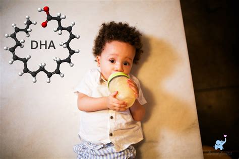 DHA in Baby Formula: Everything you Need to Know - Mommyhood101