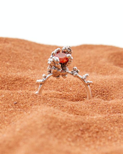 Rígido te regala una pieza de su nueva colección The Foundation - HIGHXTAR.