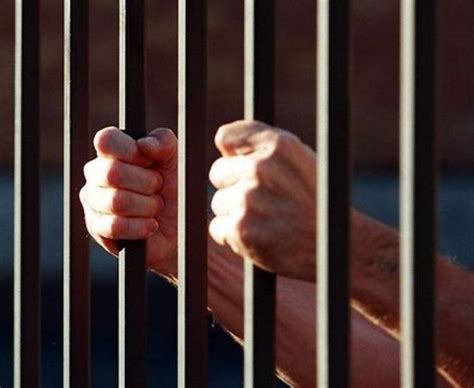 Статья 242 УК РФ с комментариями: состав преступления и распространение ...