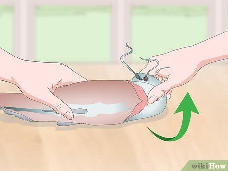 how to clean catfish
